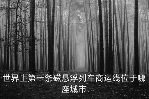 世界上第一條磁懸浮列車商運(yùn)線位于哪座城市