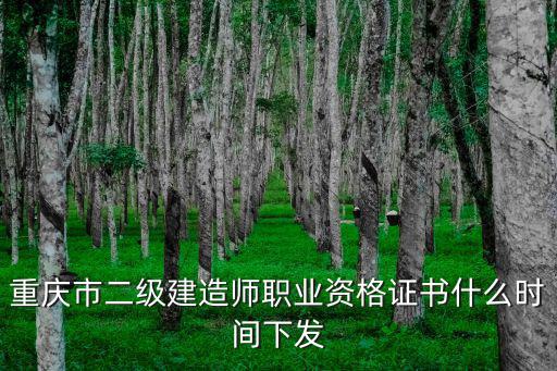 重慶市二級建造師職業(yè)資格證書什么時間下發(fā)