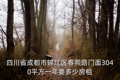 四川省成都市錦江區春熙路門面3040平方一年要多少房租