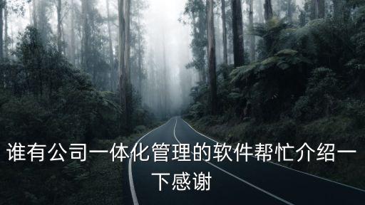 一體化平臺(tái)，誠信信息一體化平臺(tái)對(duì)企業(yè)的作用是什么意思