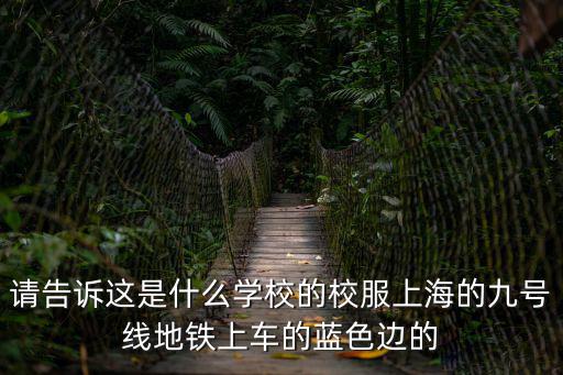 請(qǐng)告訴這是什么學(xué)校的校服上海的九號(hào)線地鐵上車的藍(lán)色邊的