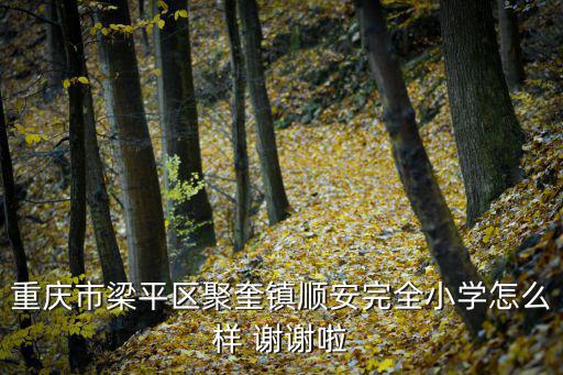 重慶市聚奎怎么樣，重慶市梁平區(qū)聚奎鎮(zhèn)順安完全小學(xué)怎么樣 謝謝啦