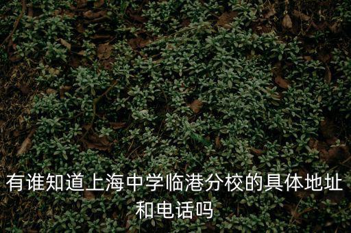 有誰知道上海中學臨港分校的具體地址和電話嗎