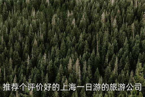 推薦個評價好的上海一日游的旅游公司