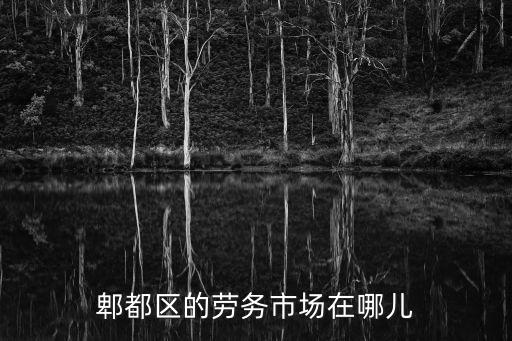 成都市郫都區人才市場在什么地方，郫都區的勞務市場在哪兒