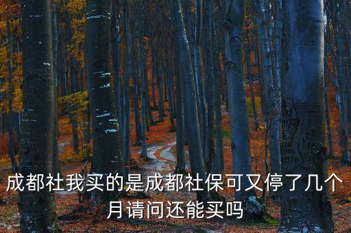 成都社我買的是成都社保可又停了幾個月請問還能買嗎