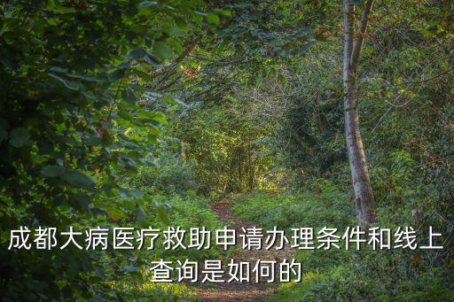 成都大病醫療救助申請辦理條件和線上查詢是如何的
