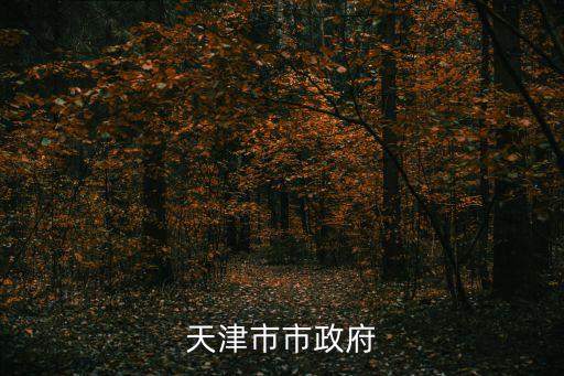 天津市政府嚴鵬程，天津市市委辦公廳主任是誰
