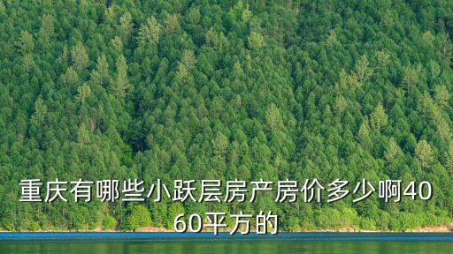 重慶有哪些小躍層房產(chǎn)房?jī)r(jià)多少啊4060平方的