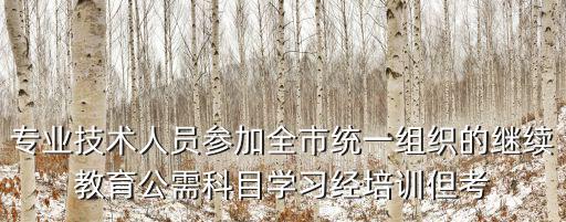 專業(yè)技術人員參加全市統(tǒng)一組織的繼續(xù)教育公需科目學習經培訓但考