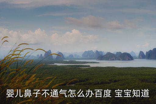 嬰兒鼻子不通氣怎么辦百度 寶寶知道