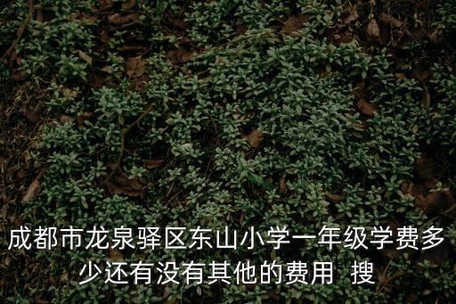 成都市龍泉驛區(qū)東山小學(xué)一年級(jí)學(xué)費(fèi)多少還有沒(méi)有其他的費(fèi)用  搜