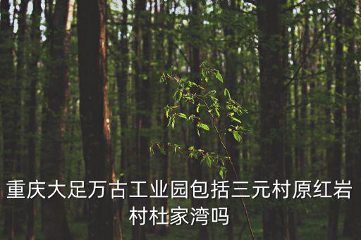 重慶大足萬古工業園包括三元村原紅巖村杜家灣嗎