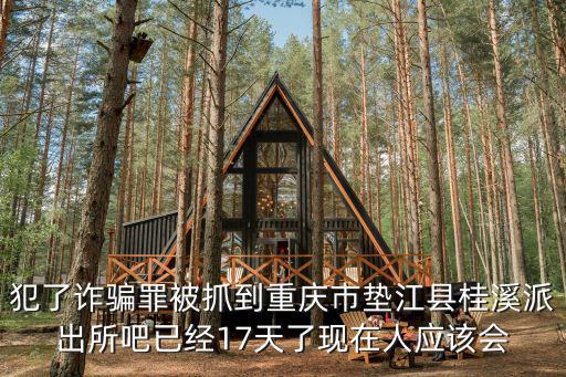 犯了詐騙罪被抓到重慶市墊江縣桂溪派出所吧已經(jīng)17天了現(xiàn)在人應(yīng)該會(huì)