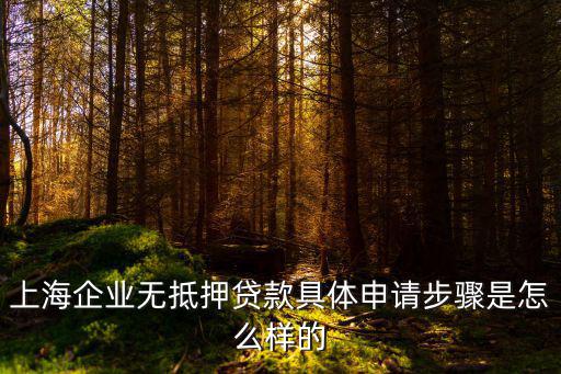 上海企業貸款，上海企業無抵押貸款具體申請步驟是怎么樣的