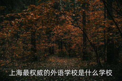 上海最權威的外語學校是什么學校
