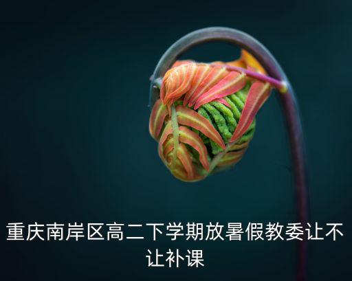 重慶南岸區高二下學期放暑假教委讓不讓補課