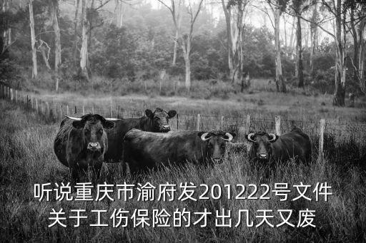 聽說重慶市渝府發(fā)201222號文件關于工傷保險的才出幾天又廢