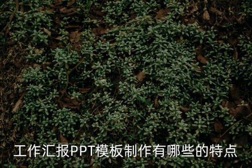 工作匯報PPT模板制作有哪些的特點