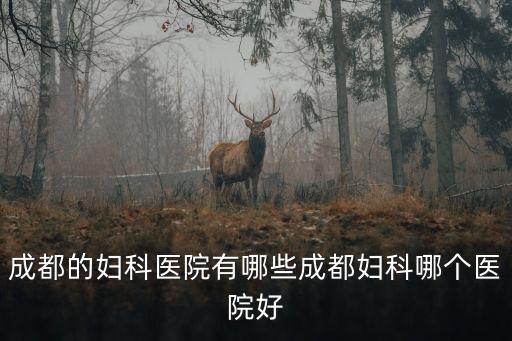 成都的婦科醫(yī)院有哪些成都婦科哪個(gè)醫(yī)院好