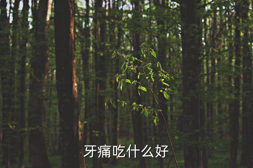 牙痛吃什么好