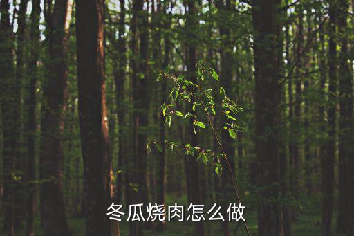 冬瓜紅燒肉，紅燒肉燉冬瓜怎么做好吃