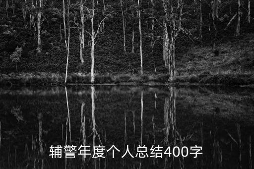 輔警年度個人總結400字