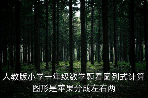 人教版小學(xué)一年級(jí)數(shù)學(xué)題看圖列式計(jì)算圖形是蘋果分成左右兩