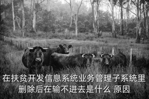 在扶貧開發(fā)信息系統(tǒng)業(yè)務管理子系統(tǒng)里刪除后在輸不進去是什么 原因