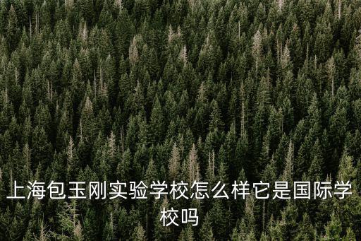 上海包玉剛實驗學校怎么樣它是國際學校嗎