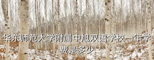 華東師范大學附屬中旭雙語學校一年學費是多少