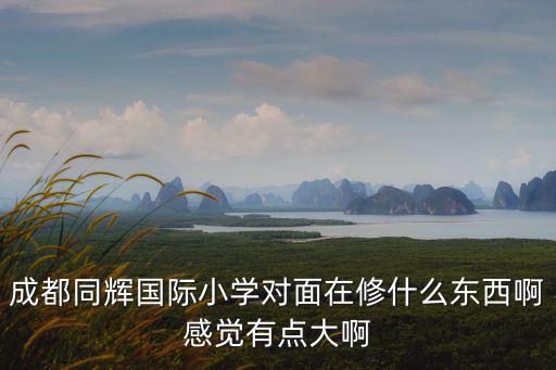 成都同輝國際小學(xué)對面在修什么東西啊感覺有點大啊