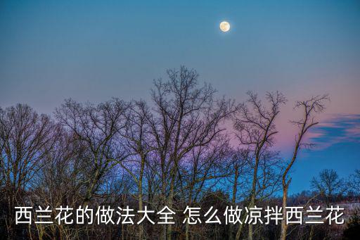涼拌西蘭花的家常做法，西蘭花的做法大全 怎么做涼拌西蘭花