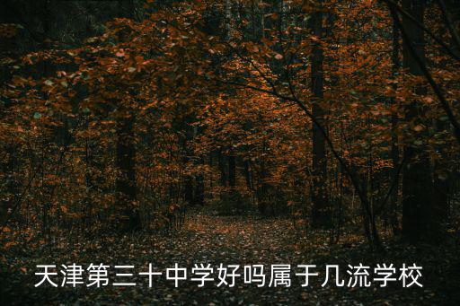 天津第三十中學好嗎屬于幾流學校