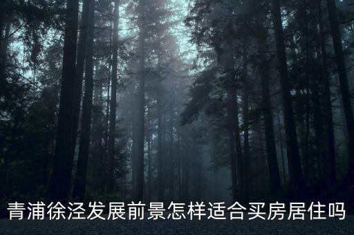徐涇新房樓盤(pán)，2012上海徐匯區(qū)第三批經(jīng)適房房源在哪里有誰(shuí)能具體介紹一下