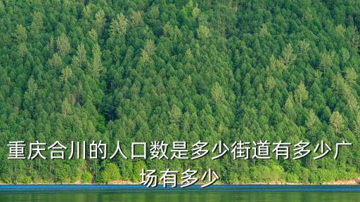 重慶市合川區(qū)有人嗎，普重慶市合川區(qū)肖家人口2016