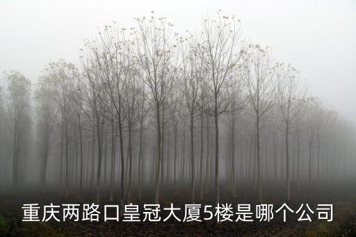 重慶兩路口皇冠大廈5樓是哪個(gè)公司