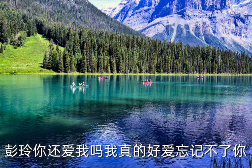 彭玲你還愛我嗎我真的好愛忘記不了你