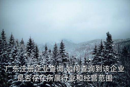 廣東省企業登記網絡服務平臺查詢，廣東深圳的紅盾網網址是多少就是那個工商局可以查看公司注冊信息