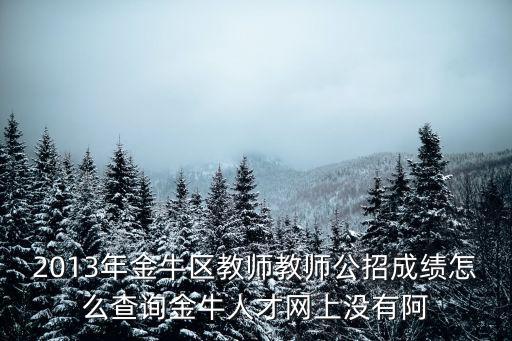 2013年金牛區(qū)教師教師公招成績?cè)趺床樵兘鹋Ｈ瞬啪W(wǎng)上沒有阿