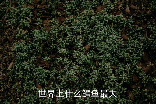 最大的鱷魚，世界上什么鱷魚最大