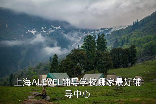 上海ALEVEL輔導(dǎo)學校哪家最好輔導(dǎo)中心