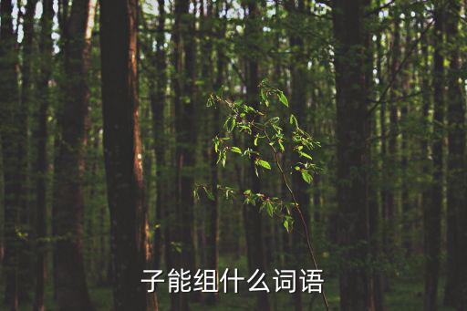 子能組什么詞語