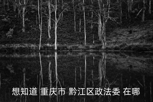 想知道 重慶市 黔江區政法委 在哪