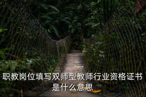 成都市職教雙師型，職教崗位填寫雙師型教師行業(yè)資格證書是什么意思