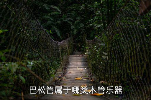 巴松管，什么是巴松管