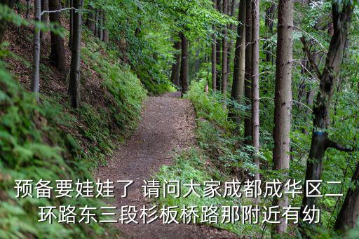 預(yù)備要娃娃了 請問大家成都成華區(qū)二環(huán)路東三段杉板橋路那附近有幼