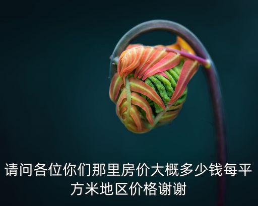 請問各位你們那里房價大概多少錢每平方米地區價格謝謝