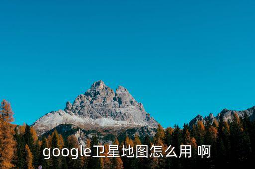 google衛(wèi)星地圖怎么用 啊