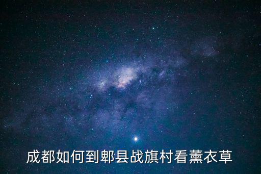 成都如何到郫縣戰(zhàn)旗村看薰衣草